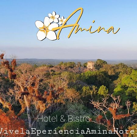 Amina Inn Flores Esterno foto